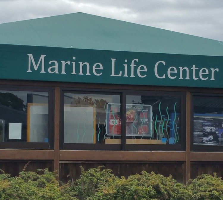 marine-life-center-photo